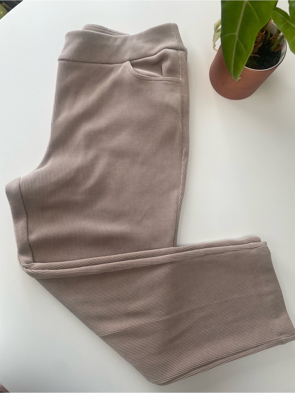 Alfred Dunner Petite Ribbed Pants in Light Taupe 18P